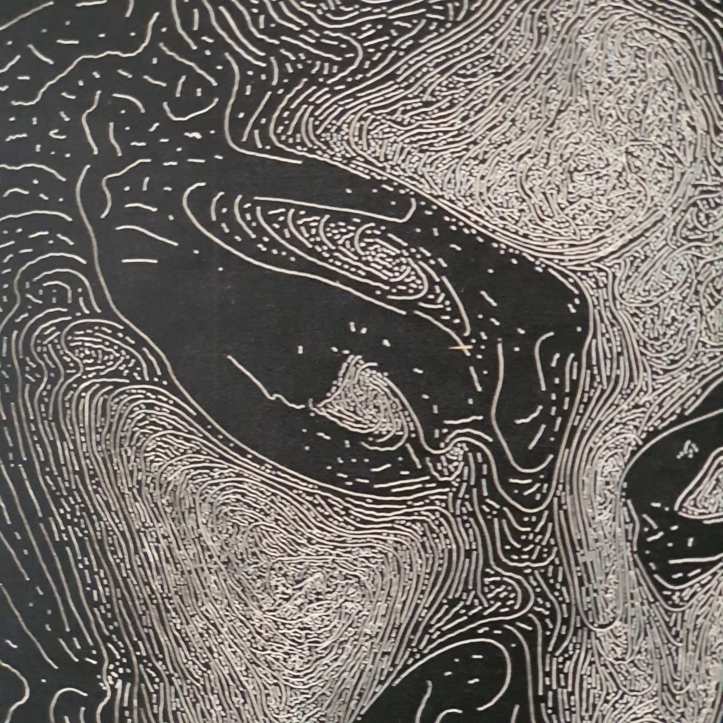 Wood engraving "Vixen"