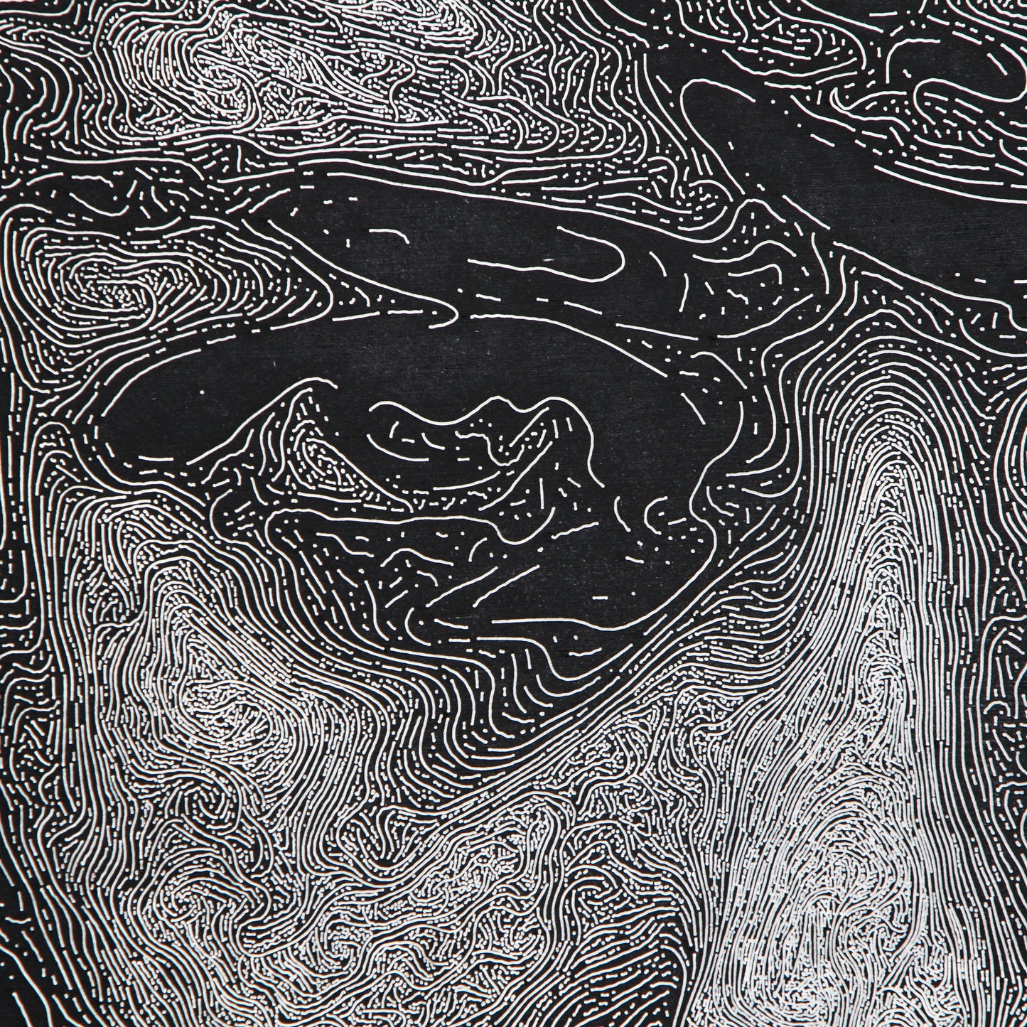 Houtgravure "Raven"