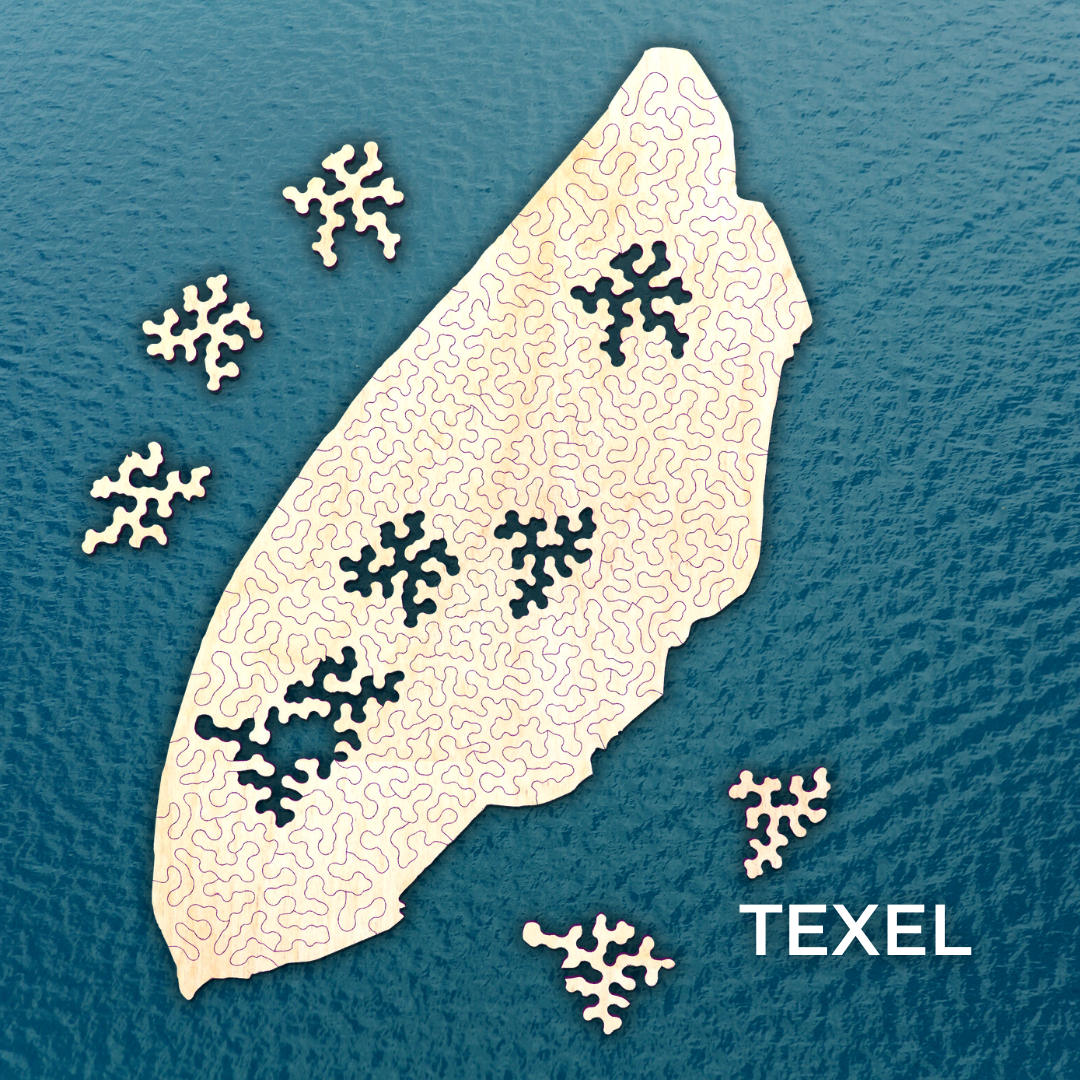 Texel | Wooden Puzzle | Chaos series | 78 pieces