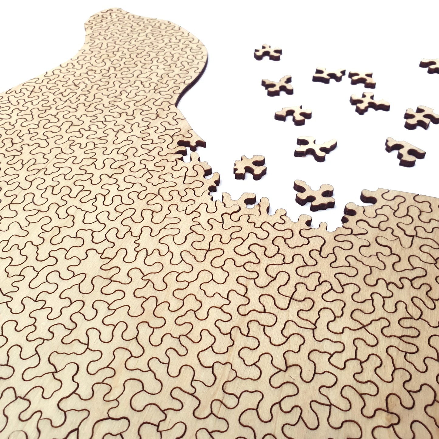 sea lion | Wooden Puzzle | Chaos series | 500 pieces