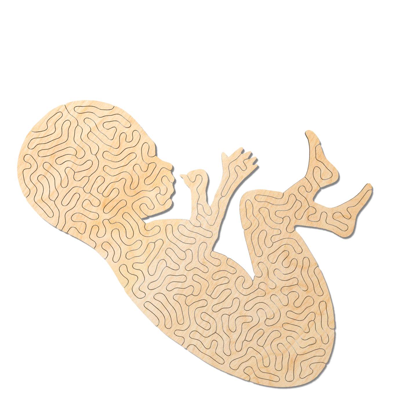 baby | Wooden Puzzle | Entropy series | 40 pieces