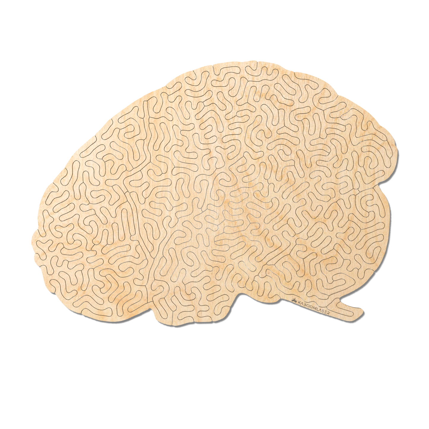 Brainteaser | Wooden Puzzle | Entropy series - 73 pieces
