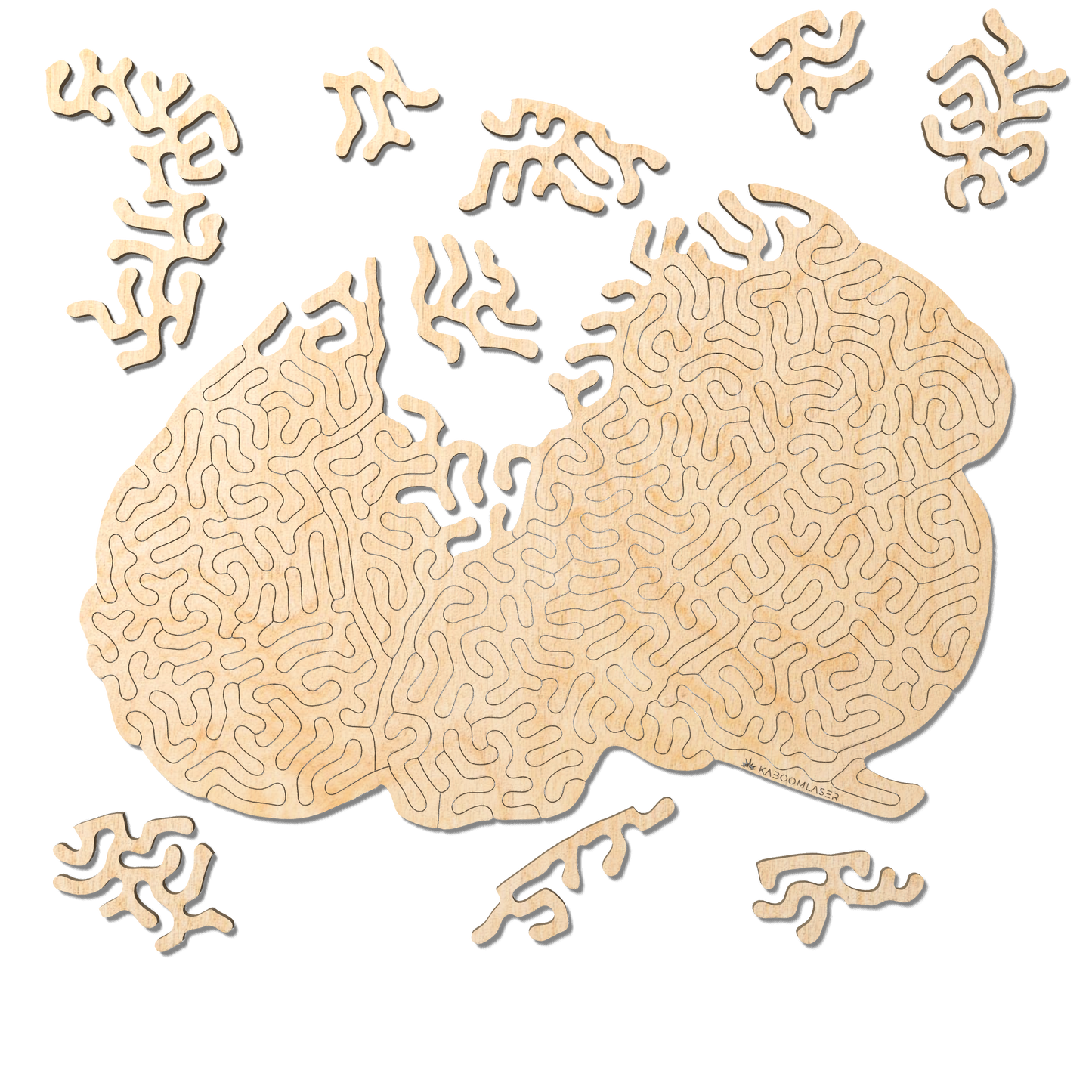 Brainteaser | Wooden Puzzle | Entropy series - 73 pieces